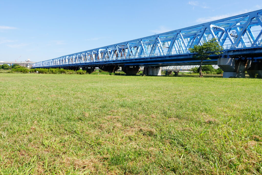 荒川河川敷__陸橋