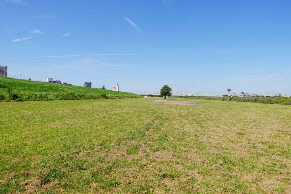 荒川河川敷_一面の芝