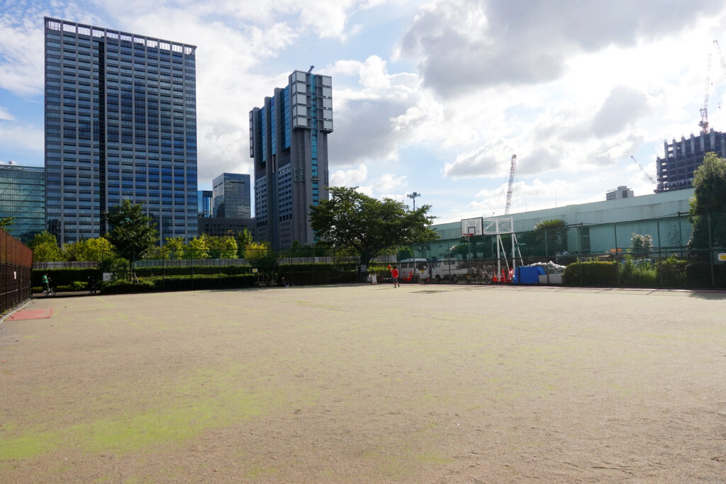 芝浦中央公園_芝の様子