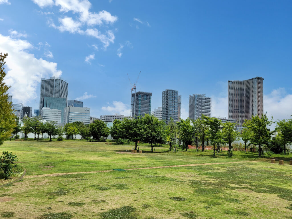 芝浦中央公園_芝の様子