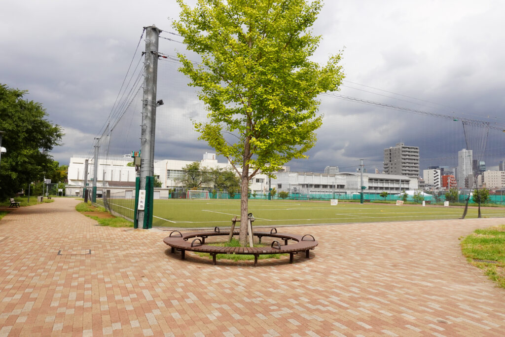 南台いちょう公園_外観